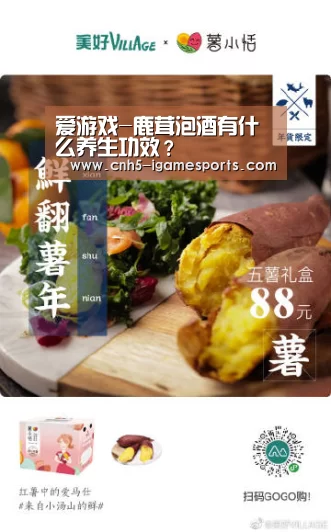 爱游戏官网
