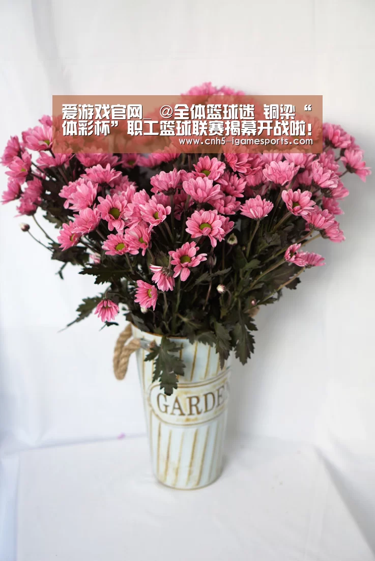 爱游戏app