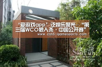 爱游戏官网
